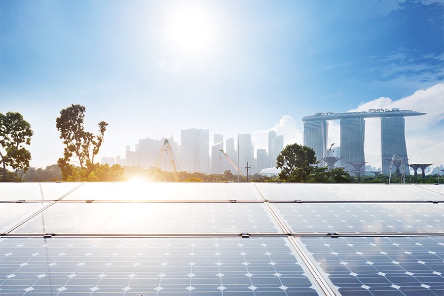 Pathways and Partnerships for the Green Transition