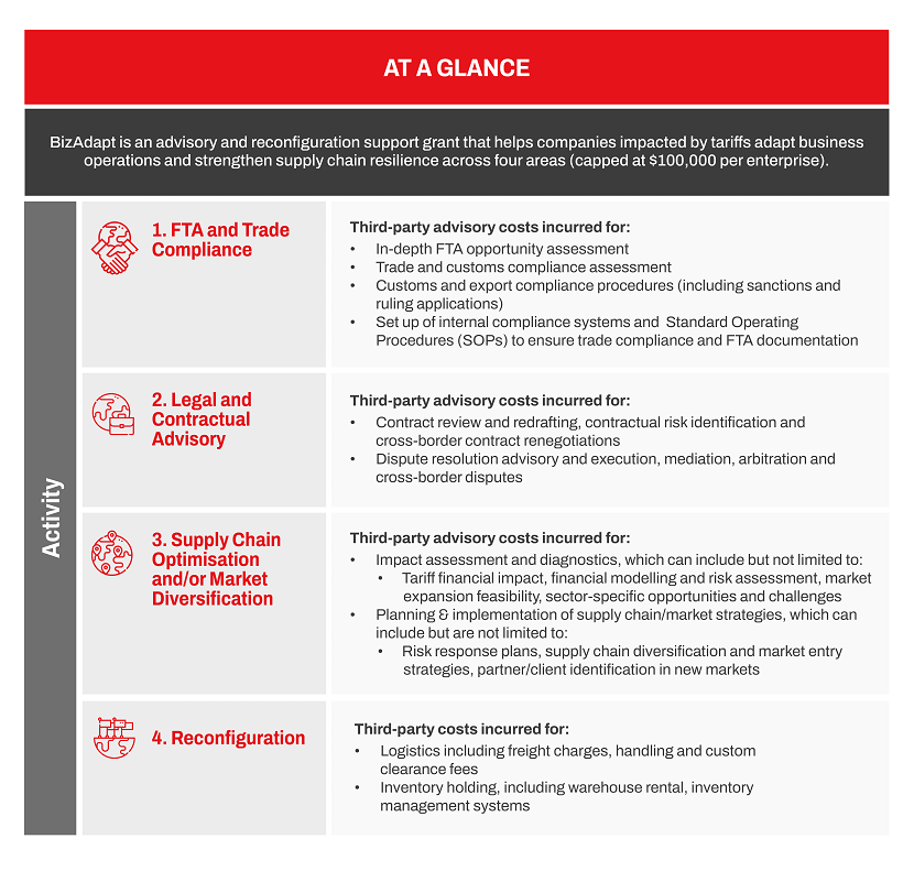 Business Adaptation Grant- Activities in a glance