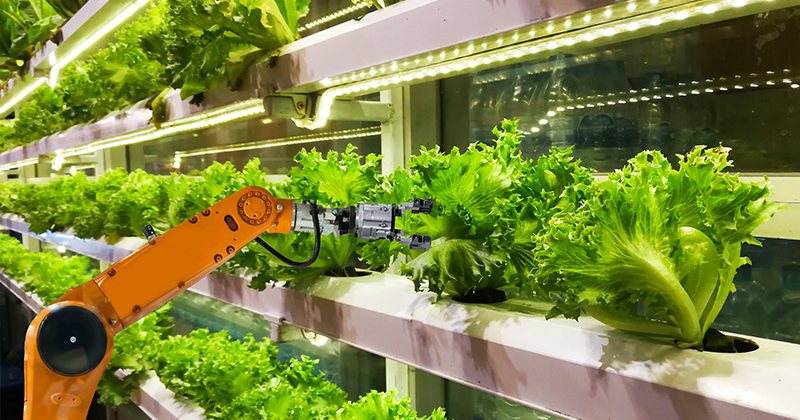 Agri-tech | Industry Profile | Enterprise Singapore