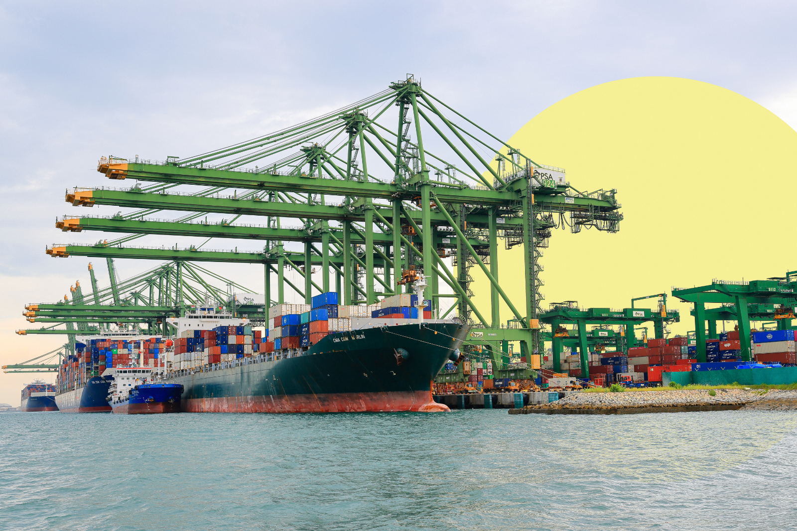 The kiasu support - 4