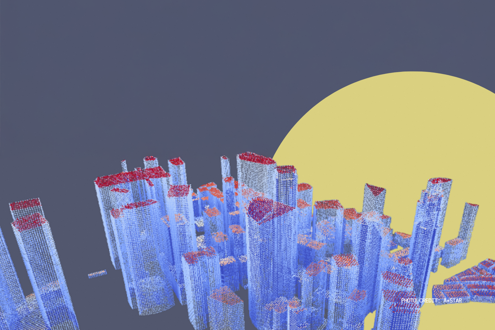 The kiasu support - 6