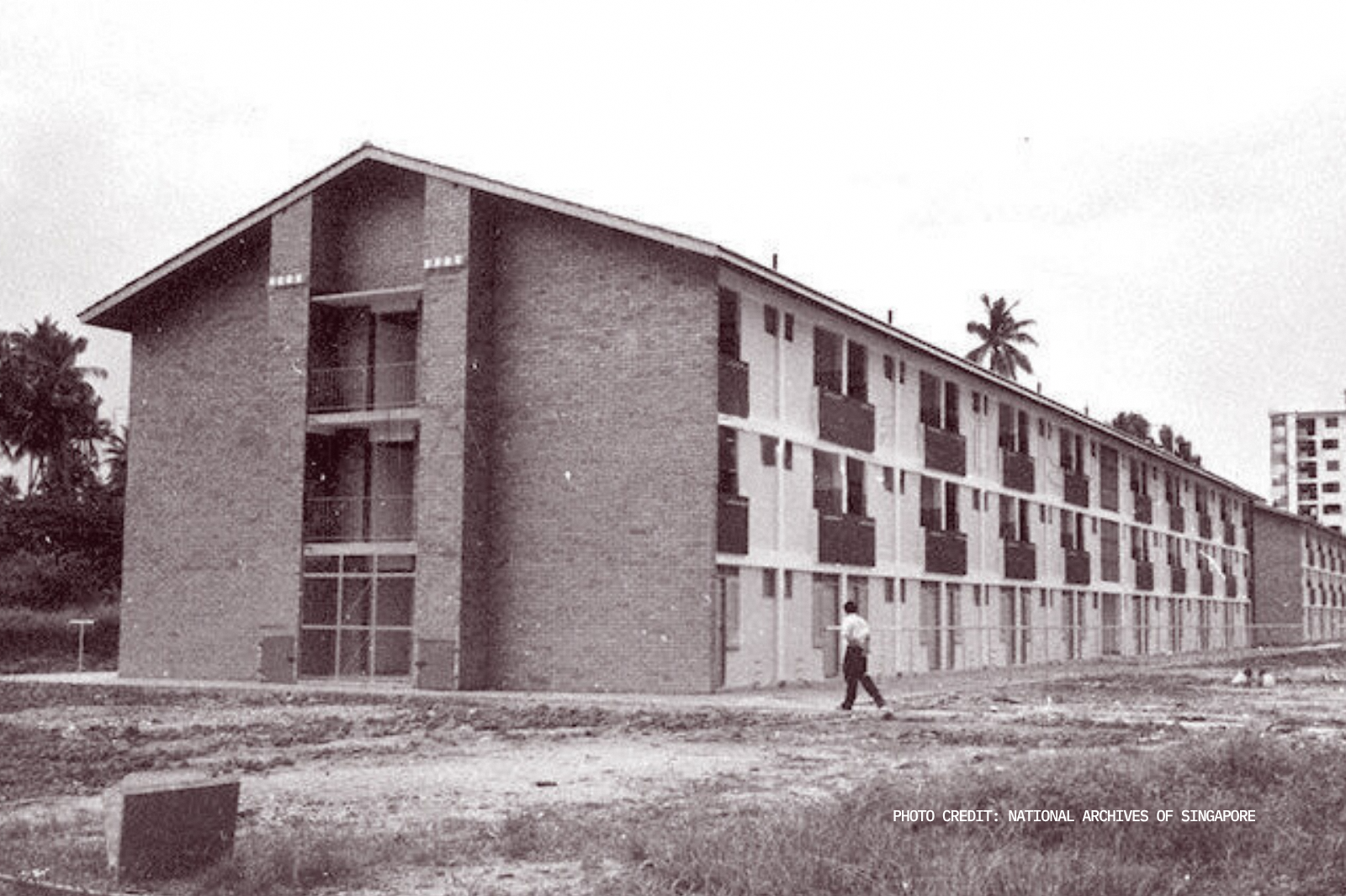 Innovation in action: Our first decade 2