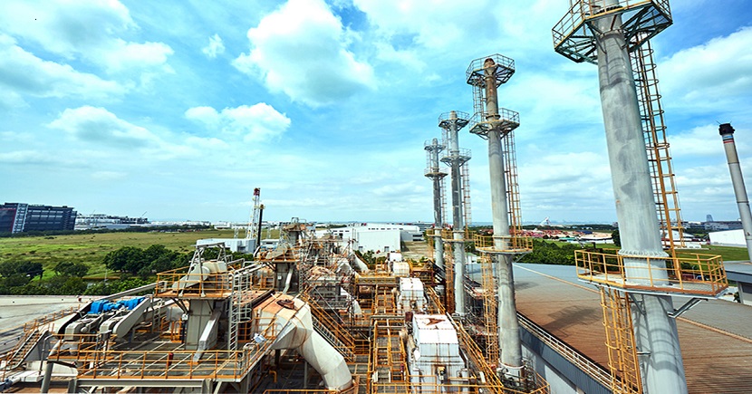 800 Super’s integrated facility in Tuas South boasts various capabilities, including sludge treatment and animal feed processing