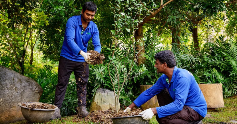 BNL’s landscapers at Mandai Wildlife Reserve