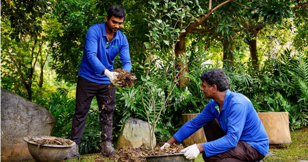 BNL’s landscapers at Mandai Wildlife Reserve
