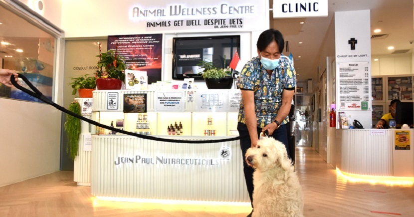 A veterinarian from the Animal Wellness Centre in Pet Lovers Centre’s Pet Safari store in Star Vista