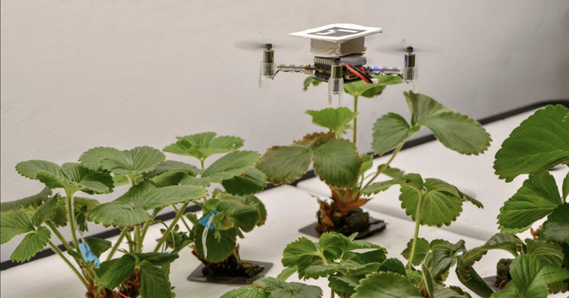 Singapore start-up PolyBee uses micro-drones