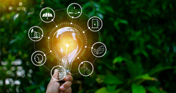 Article 6 implementation