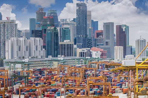 Singapore Landscape